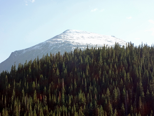 a close-up of Longs Peak